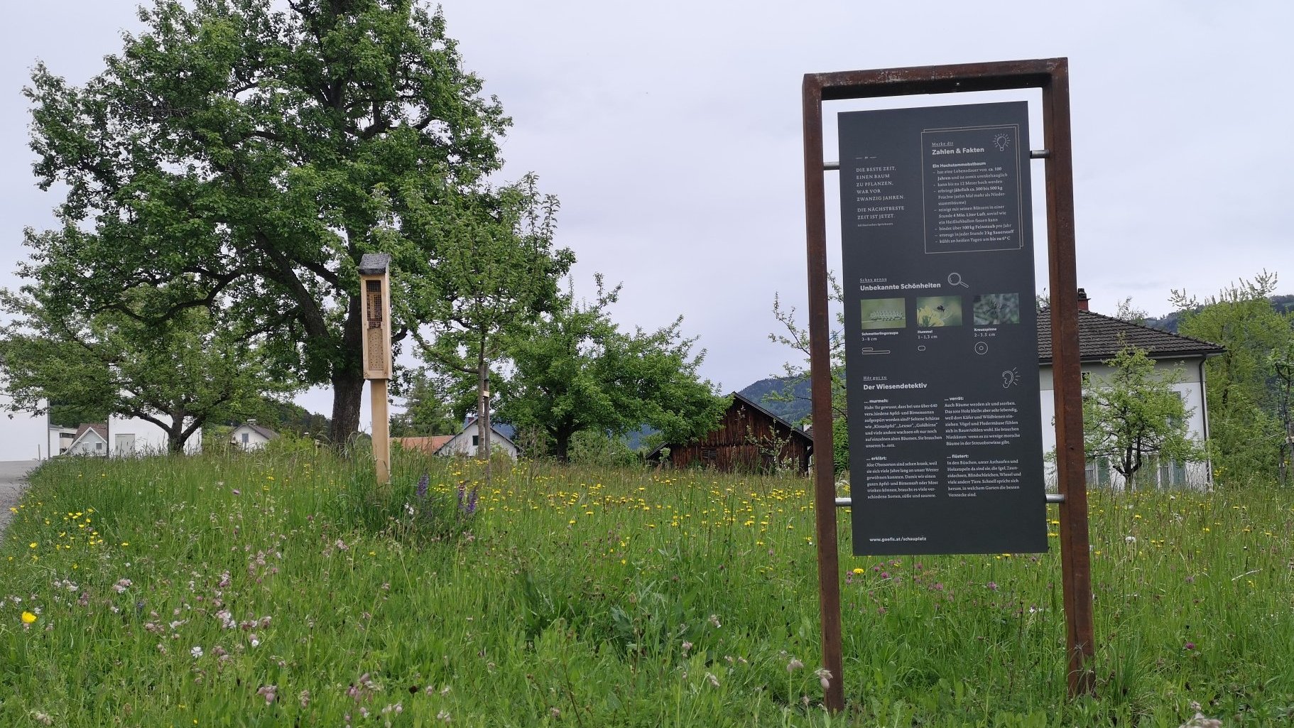 Pädagogisches Honig- und Wildbienen